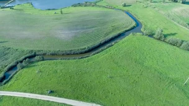 Luchtfoto van de groene weiden — Stockvideo