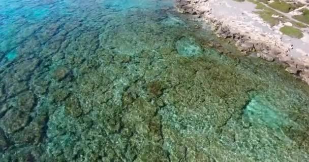 Bella vista sulla spiaggia blu di Elafonissi a Creta — Video Stock