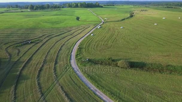 緑の牧草地空撮 — ストック動画