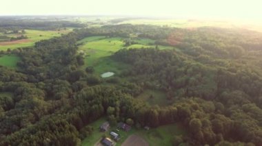 Yaz saati, yeşil orman yukarıda uçan