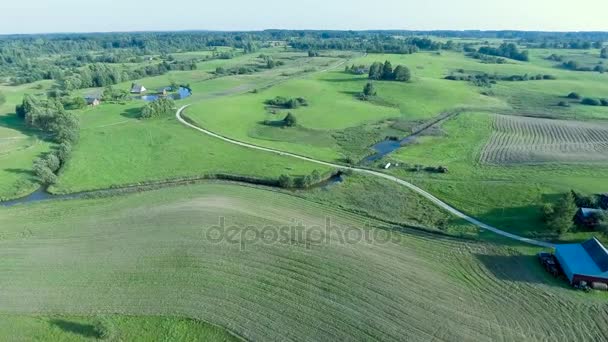 Green meadows aerial view — Stock Video