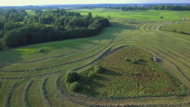 緑の牧草地空撮 — ストック動画