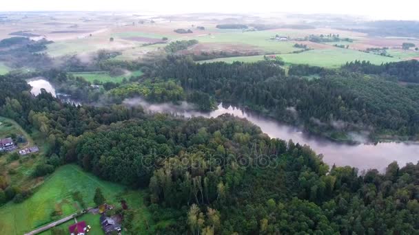 Am frühen Morgen über Nebel über den See fliegen — Stockvideo