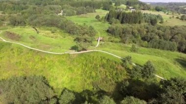 Orman yaz saati itibariyle yukarıda uçan