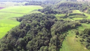 Orman yaz saati itibariyle yukarıda uçan