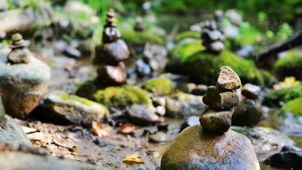 Kameny Lesní řeky — Stock fotografie
