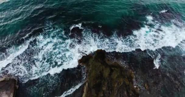 Uçan baslïyordu, güzel dalgalı deniz kıyısı yukarıda — Stok video