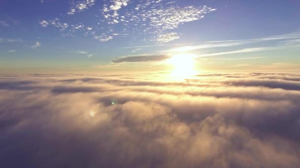 Flight over mist early at morning — Stock Video