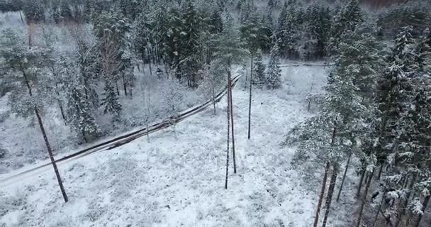 Вид з повітря на засніжений ліс взимку — стокове відео