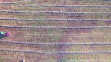 Traktör alanları hava görünümünde çalışma