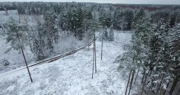 Luftaufnahme des verschneiten Waldes im Winter — Stockvideo