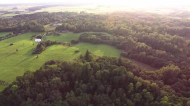 Yaz saati, yeşil orman yukarıda uçan