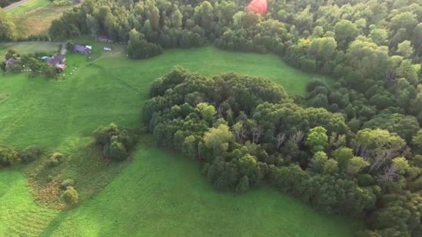 Vliegen boven de groene bos op zomertijd — Stockvideo