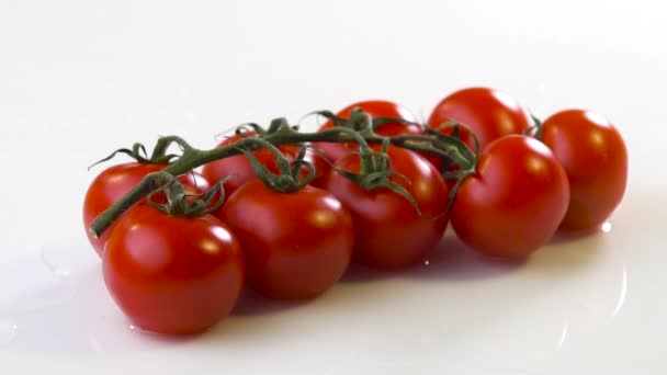 Färsk tomat med vatten på vit yta — Stockvideo