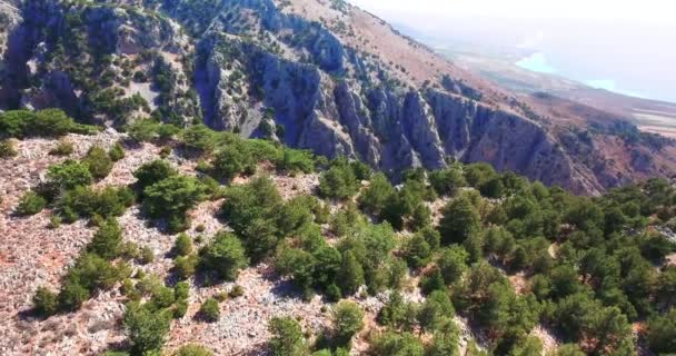 Sobrevolando la garganta en las montañas — Vídeo de stock