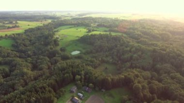 Yaz saati, yeşil orman yukarıda uçan