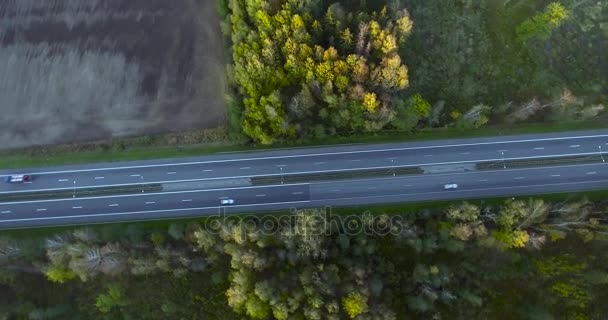 Vlucht over weg met verkeer — Stockvideo