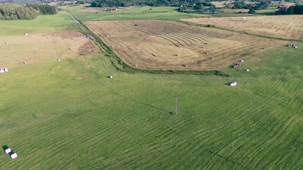 Prairies vertes vue aérienne — Video