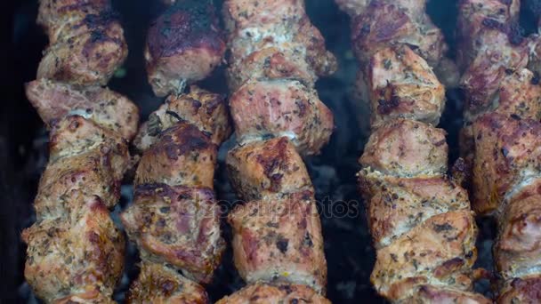 맛 있는 돼지고기 케밥 밖에 구이 — 비디오