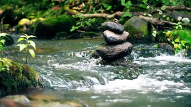 Beautiful cold fresh river landscape — Stock Video