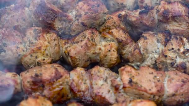 Leckere Schweinefleisch Kebab draußen gegrillt — Stockvideo