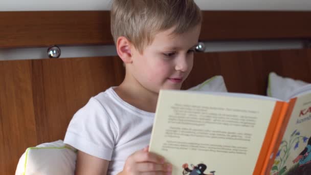 Маленький хлопчик читає книгу — стокове відео