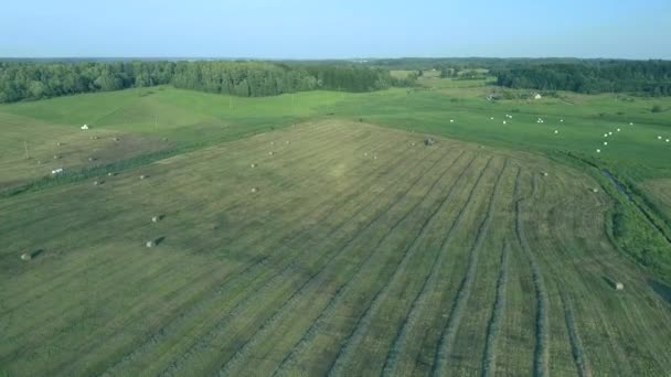 Трактор, работающий в полях — стоковое видео