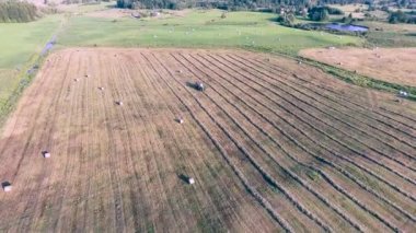 yeşil çayırlar havadan görünümü