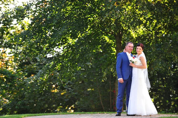 Vackra brudgummen och bruden — Stockfoto