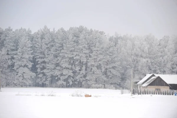 Cabaña a orillas del lago congelado —  Fotos de Stock