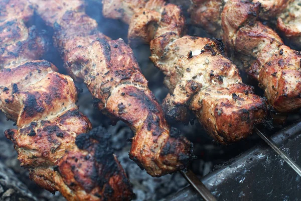 Мясо в соусе в огне — стоковое фото