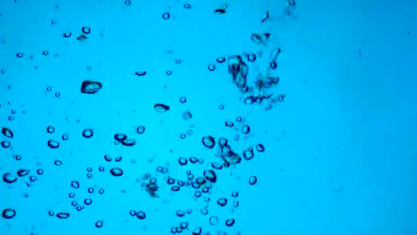 Buborékok a víz lassú mozgás — Stock videók