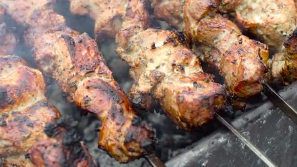 Delicioso kebab de cerdo asado al aire libre — Vídeos de Stock