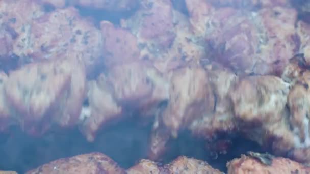 맛 있는 돼지고기 케밥 밖에 구이 — 비디오