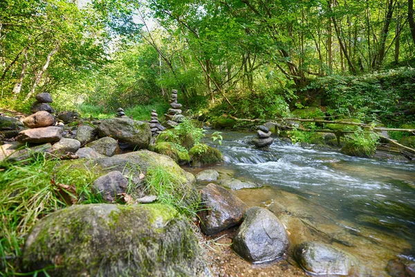 Kövek erdő folyó partján — Stock Fotó
