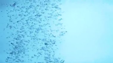 kabarcıklar su yavaş hareket