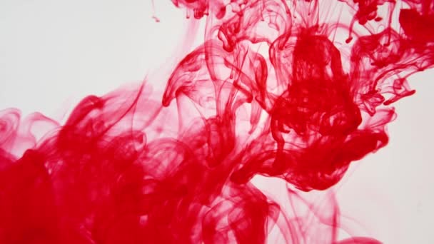 Ink poured into water slow motion — Stock Video