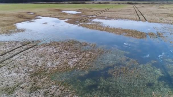 Vista aerea di campi allagati e laghi in primavera — Video Stock