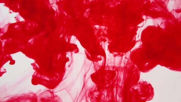 Ink poured into water slow motion — Stock Video