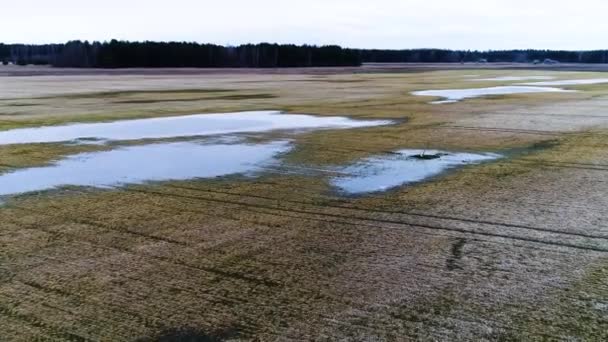 Luchtfoto van overstroomd velden en meren op voorjaar — Stockvideo