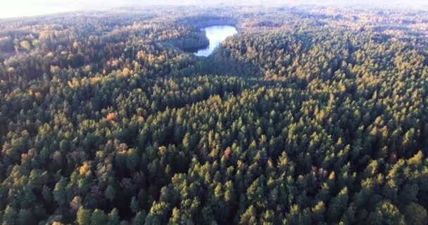 Sorvolando foresta e lago autunnali — Video Stock