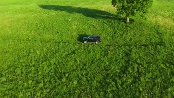 Αεροφωτογραφία του suv αυτοκίνητο κινείται σε δρόμο σε πράσινα λιβάδια — Αρχείο Βίντεο
