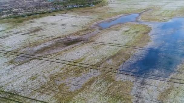 Letecký pohled na zaplavených polích a jezer na jaro — Stock video