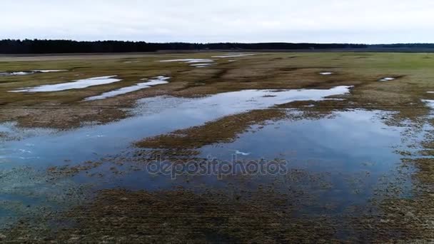 Luchtfoto van overstroomd velden en meren op voorjaar — Stockvideo