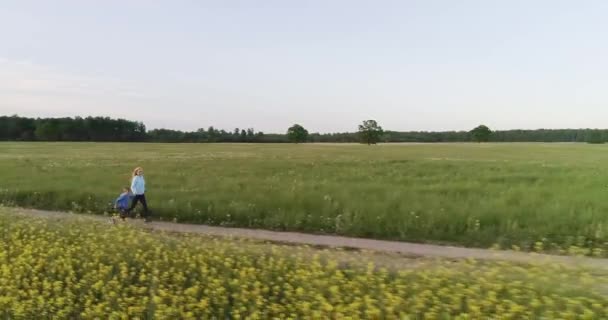 Mutter und Sohn im Feld — Stockvideo