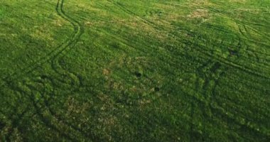 yeşil çayırlar havadan görünümü