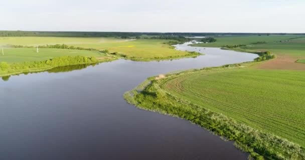 Floden på morgonen Birds eye view — Stockvideo