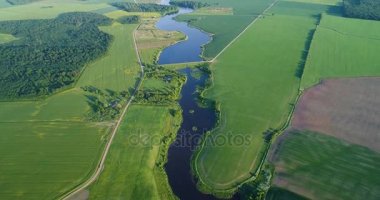 Kuş görünümü göz sabah nehirde