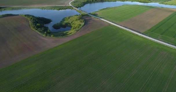 Vista aérea del coche todoterreno moviéndose por carretera en campos verdes — Vídeos de Stock