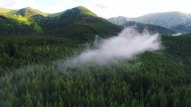 Orman dağlarında üzerinde uçuş